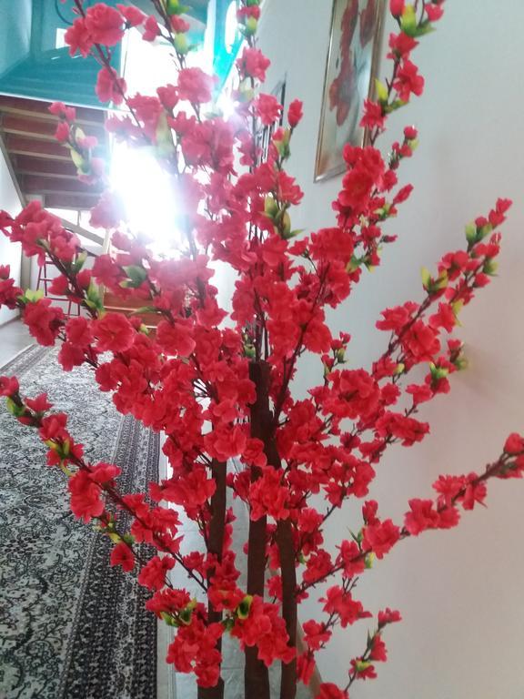 Guest House Arbat Cholpon-Ata Εξωτερικό φωτογραφία