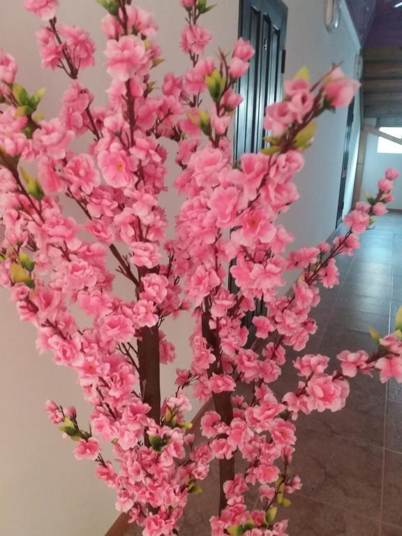 Guest House Arbat Cholpon-Ata Εξωτερικό φωτογραφία